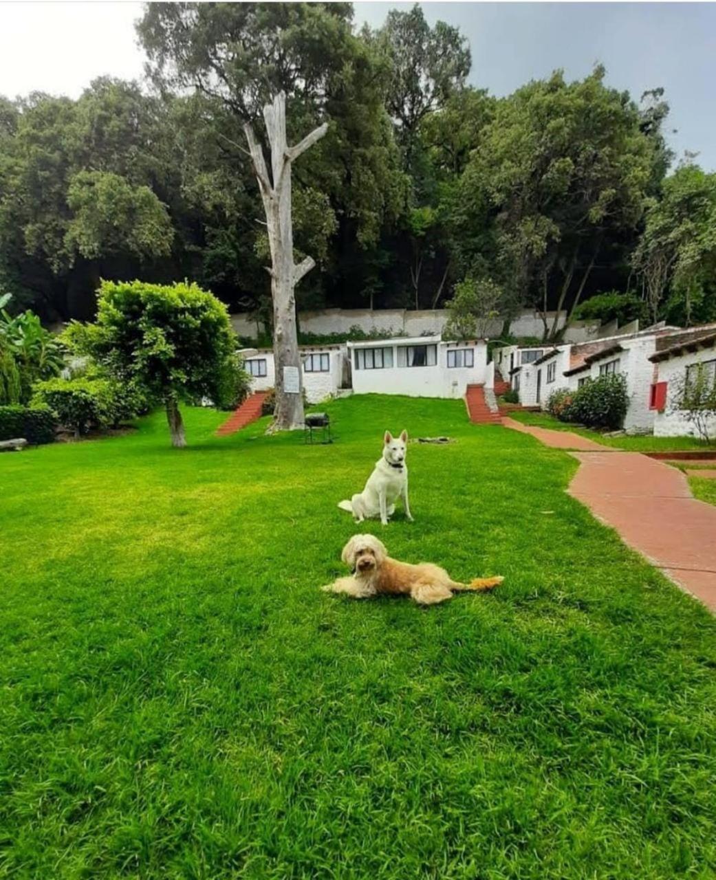 Hotel Club Santa Maria à Cuernavaca Extérieur photo